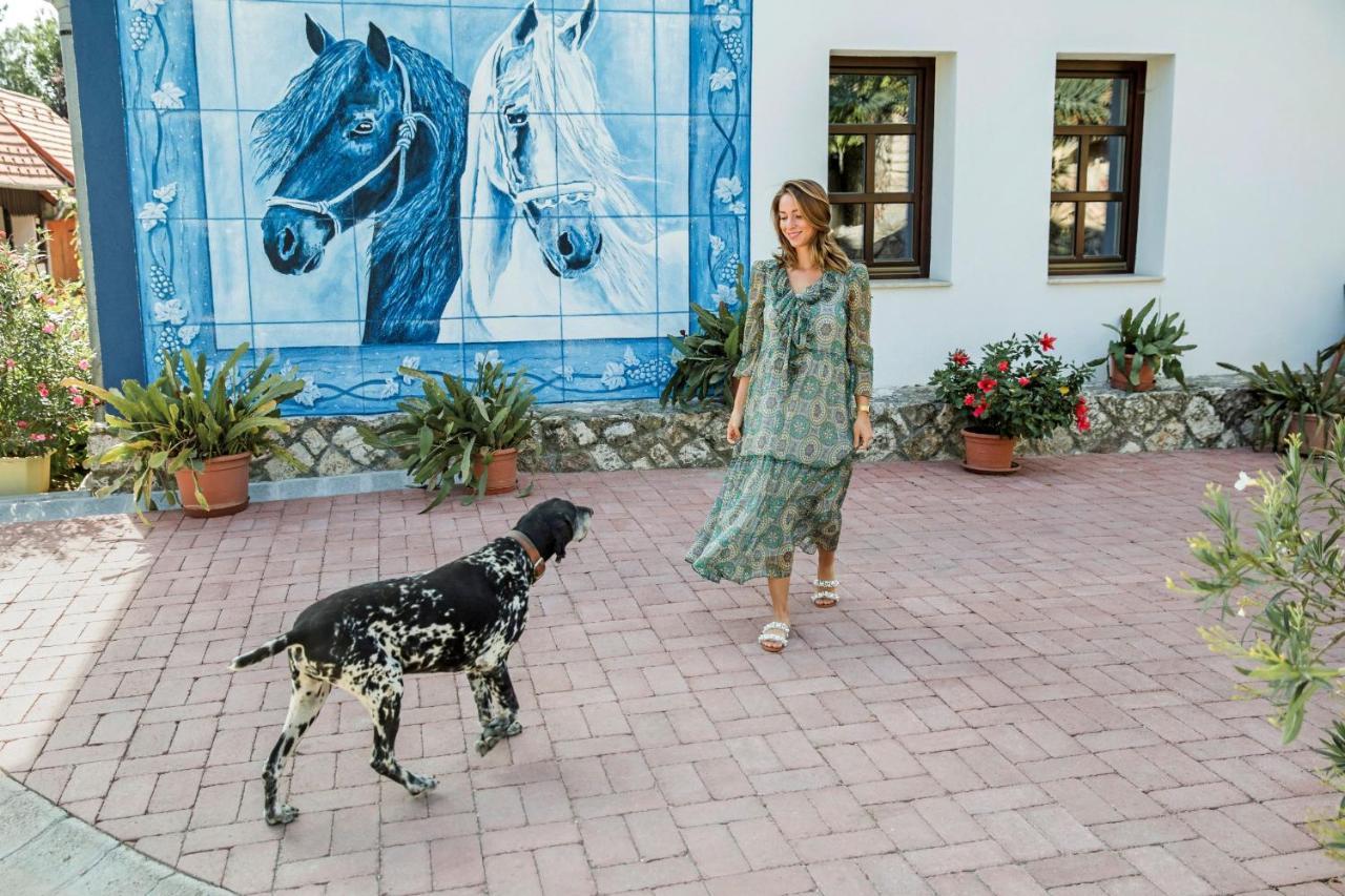 Szel Fiai Fogado Otel Nyúl Dış mekan fotoğraf